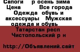 Сапоги 35 р.осень-зима  › Цена ­ 700 - Все города Одежда, обувь и аксессуары » Мужская одежда и обувь   . Татарстан респ.,Чистопольский р-н